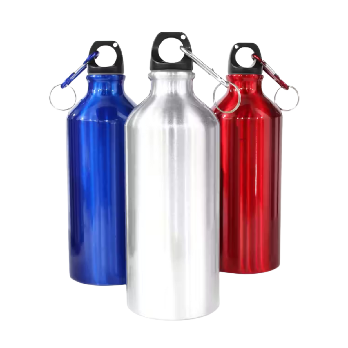 Aluminum Sports Bottle w/ Carabiner (Deliver In 4-6 weeks)