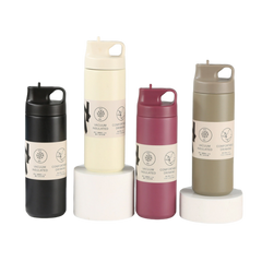 Nozzle Type Insulated Water Bottle (Deliver In 4-6 weeks)