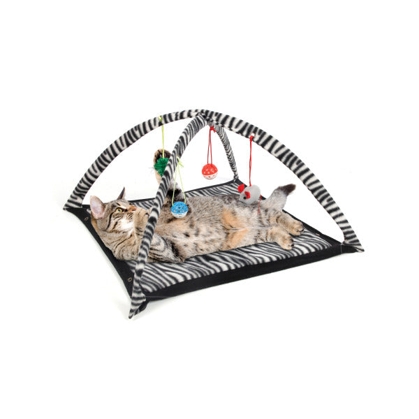 Zebra Print Cat Play Tent with Dangle Toys (Pack of 1), 47.99$/Pc Price