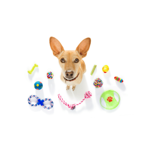 Pets Toy