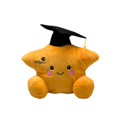 Customised 30cm Star Shaped Bear / Plush (Preorder)