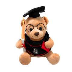 Customised 23cm Graduation Teddy Bear (Preorder)