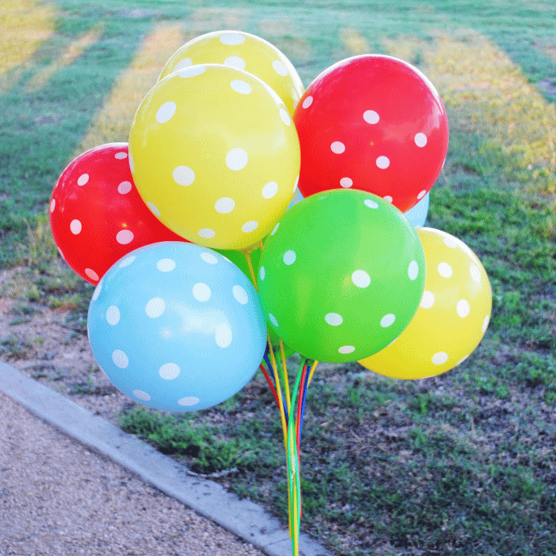 Primary Balloon Sticks (144/package) 10?› each