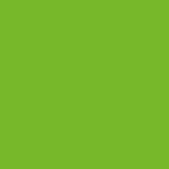 Gimme5 - FLUO50A - NEON GREEN