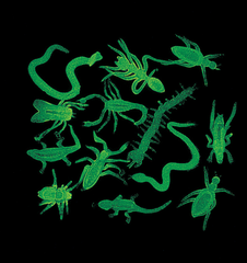 Glow in the Dark Bugs (144/package) 6?› each