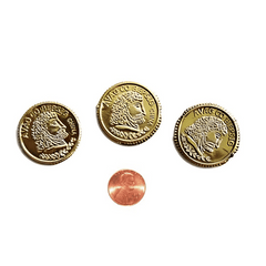 Plastic Pirate Gold Coins (144/package) 5?› each