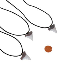 Plastic Shark Tooth Necklaces (24 total necklaces in 2 bags) 61?› each