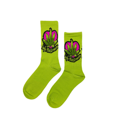 High Maintenance Socks Fits All, 70% Cotton, 25% Spandex, 5% Elastic