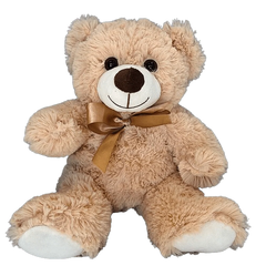 11" Plush Teddy Bears Bundle ƒ??50 Pack Bulk Box-One Color
